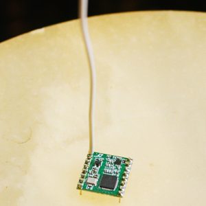 RFM69 Radio Module